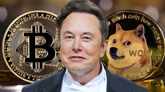 Informasi terbaru mengenai cryptocurrency DOGE dan BTC dari Elon Musk