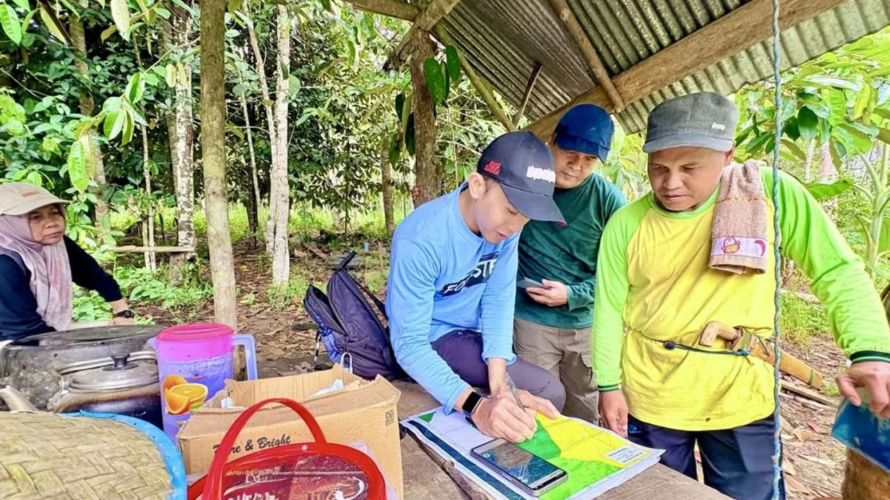 Dishut Kalsel Verifikasi Lokasi Agroforestry FOLU di Tabalong